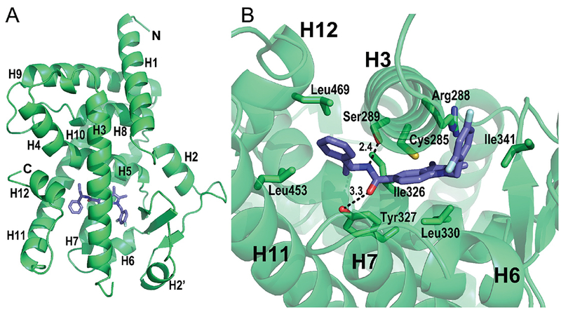 Figure 2: