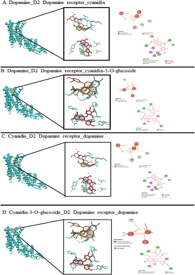 Figure 3.