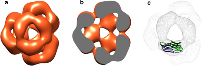 Fig. 1