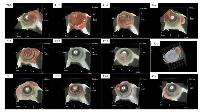 Fig. 10