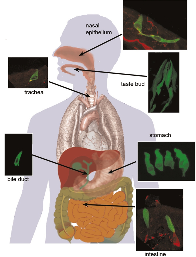 Figure 2.