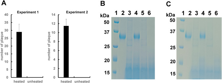 Fig. 4