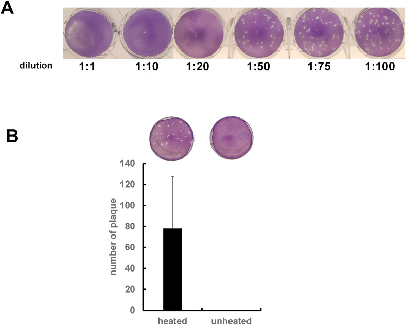 Fig. 1