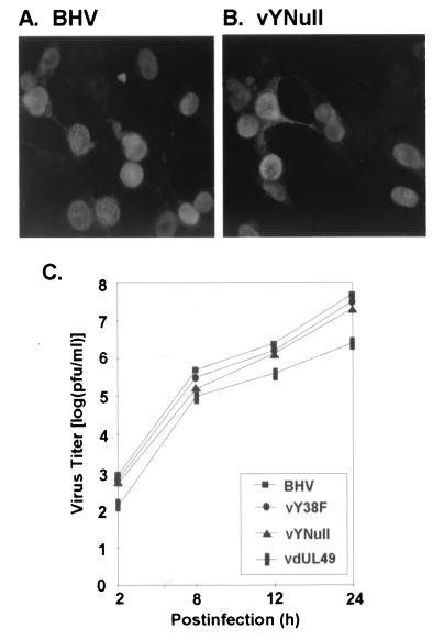 FIG. 6