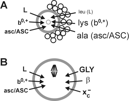 FIG. 7.