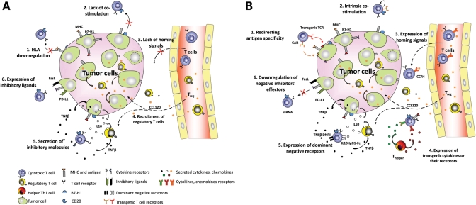 Figure 1.