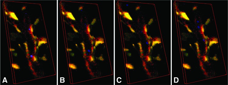 FIG. 3.