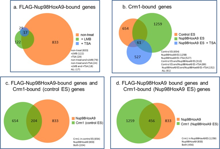 Figure 6—figure supplement 1.