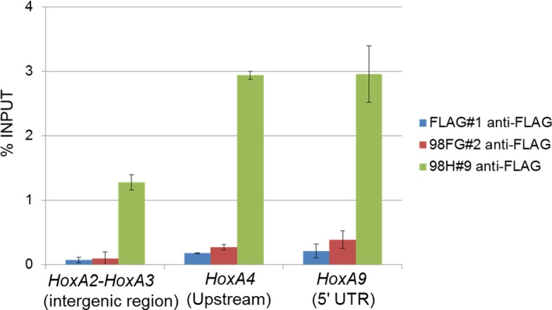 Figure 5—figure supplement 1.