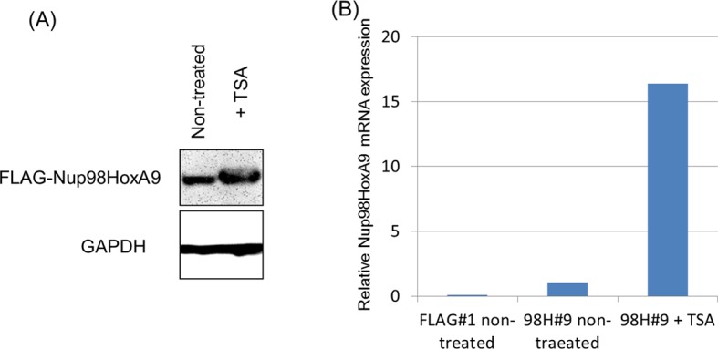 Figure 7—figure supplement 2.