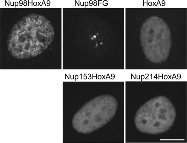 Figure 3—figure supplement 1.