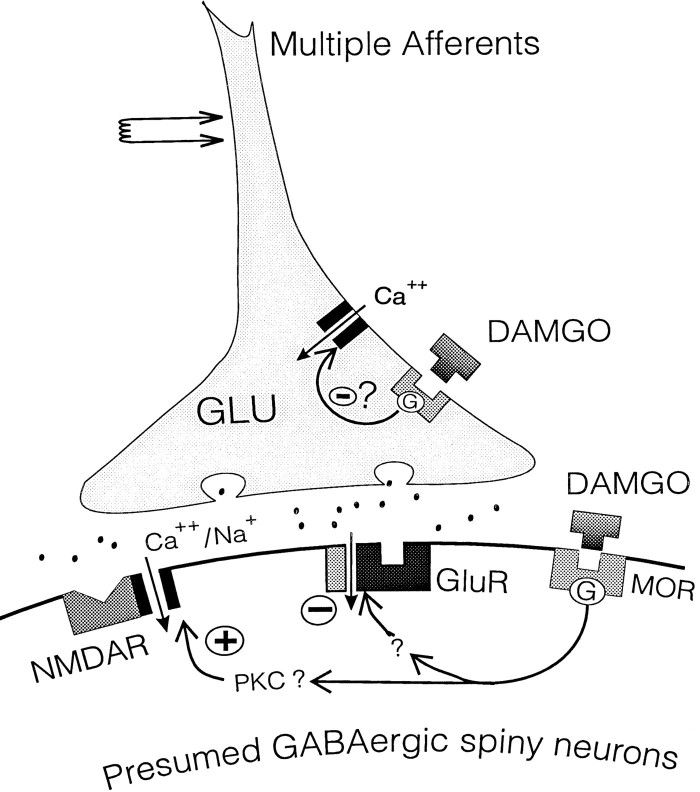 Fig. 11.