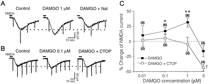 Fig. 10.