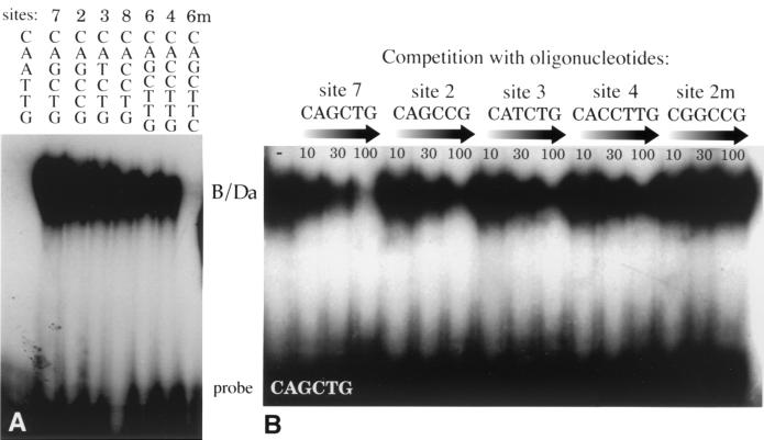 FIG. 3