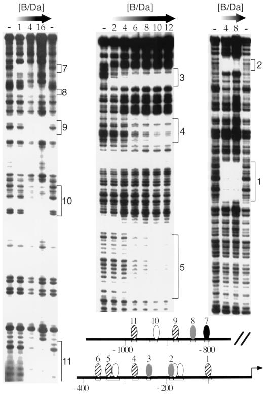 FIG. 1