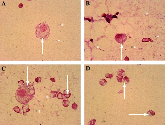 FIG. 6.