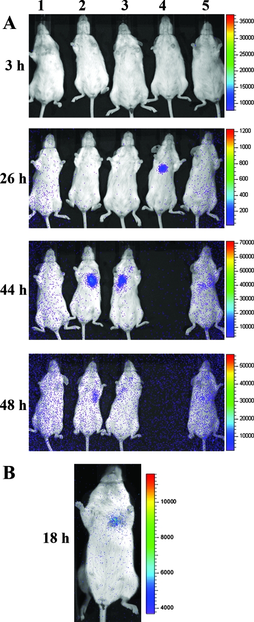 FIG. 4.