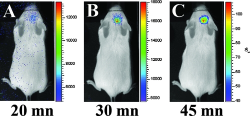 FIG. 3.