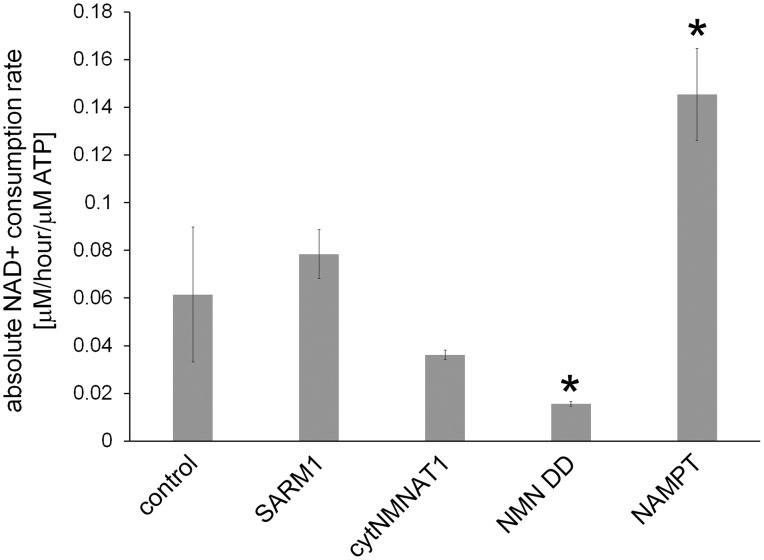 Figure 4—figure supplement 3.