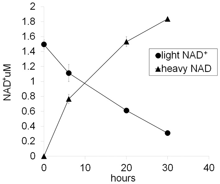 Figure 4—figure supplement 2.