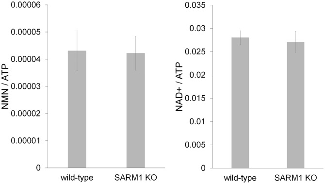 Figure 2—figure supplement 1.