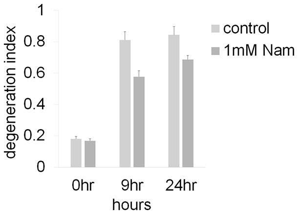 Figure 4—figure supplement 1.