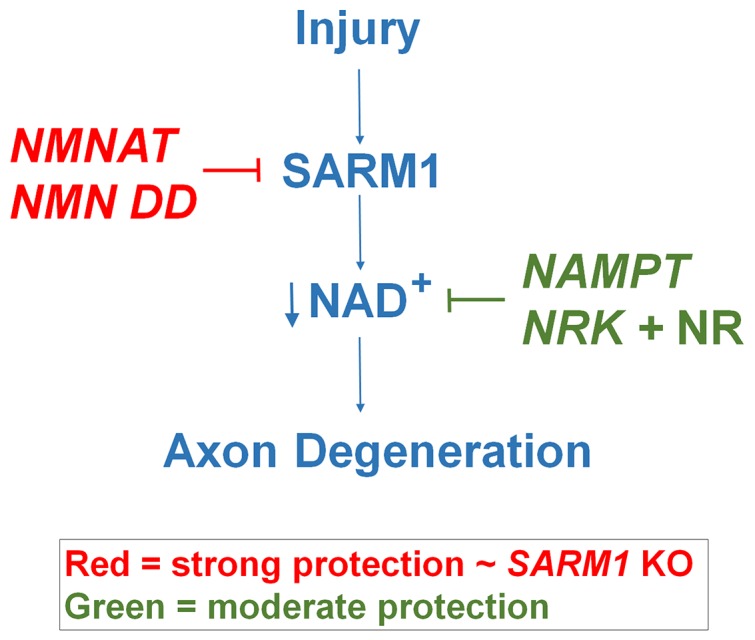 Figure 5.