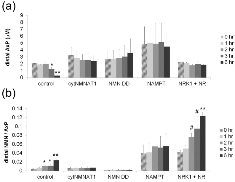 Figure 2—figure supplement 2.