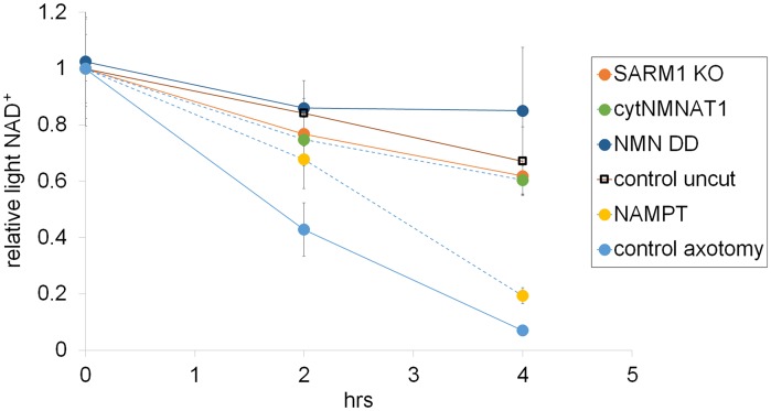 Figure 4—figure supplement 4.