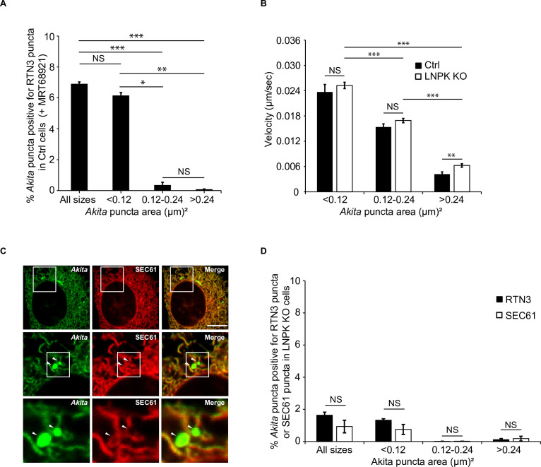 Figure 5—figure supplement 7.