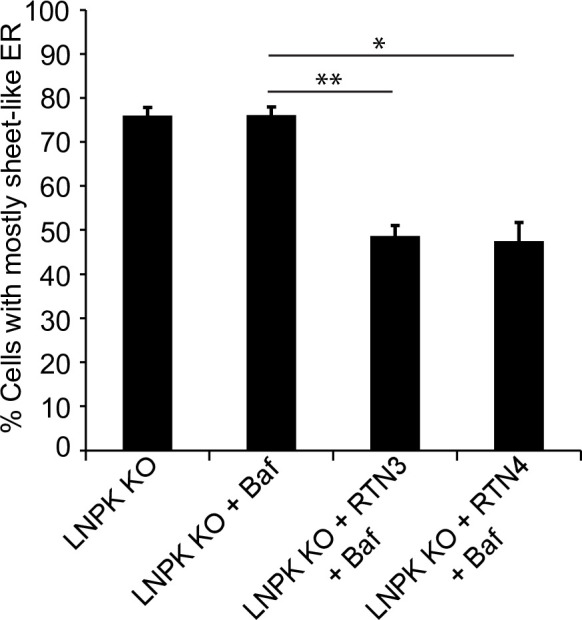 Figure 6—figure supplement 1.