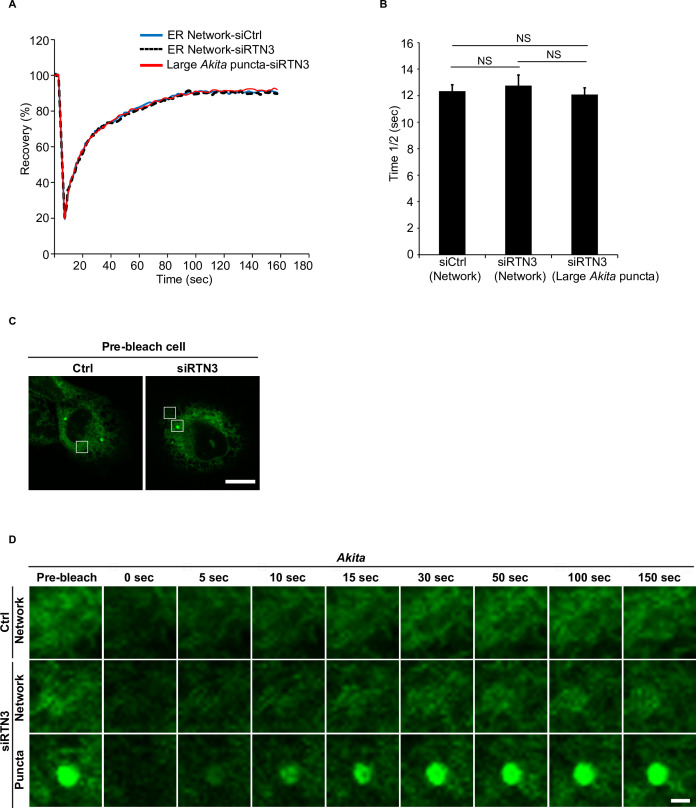 Figure 5—figure supplement 9.