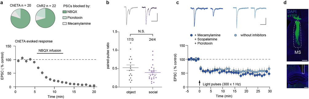 Extended Data Fig. 6∣