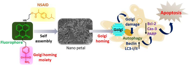 graphic file with name d5md00215j-ga.jpg