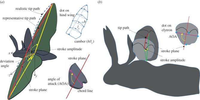 Figure 1.