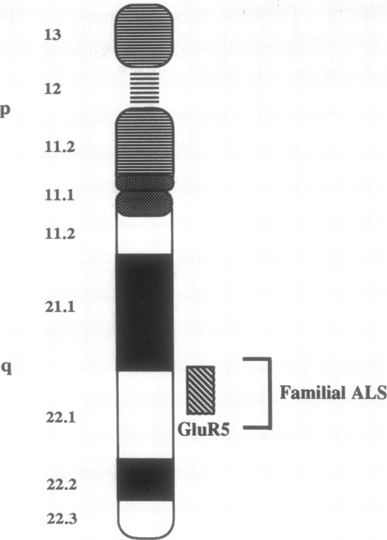 graphic file with name pnas01099-0196-a.jpg