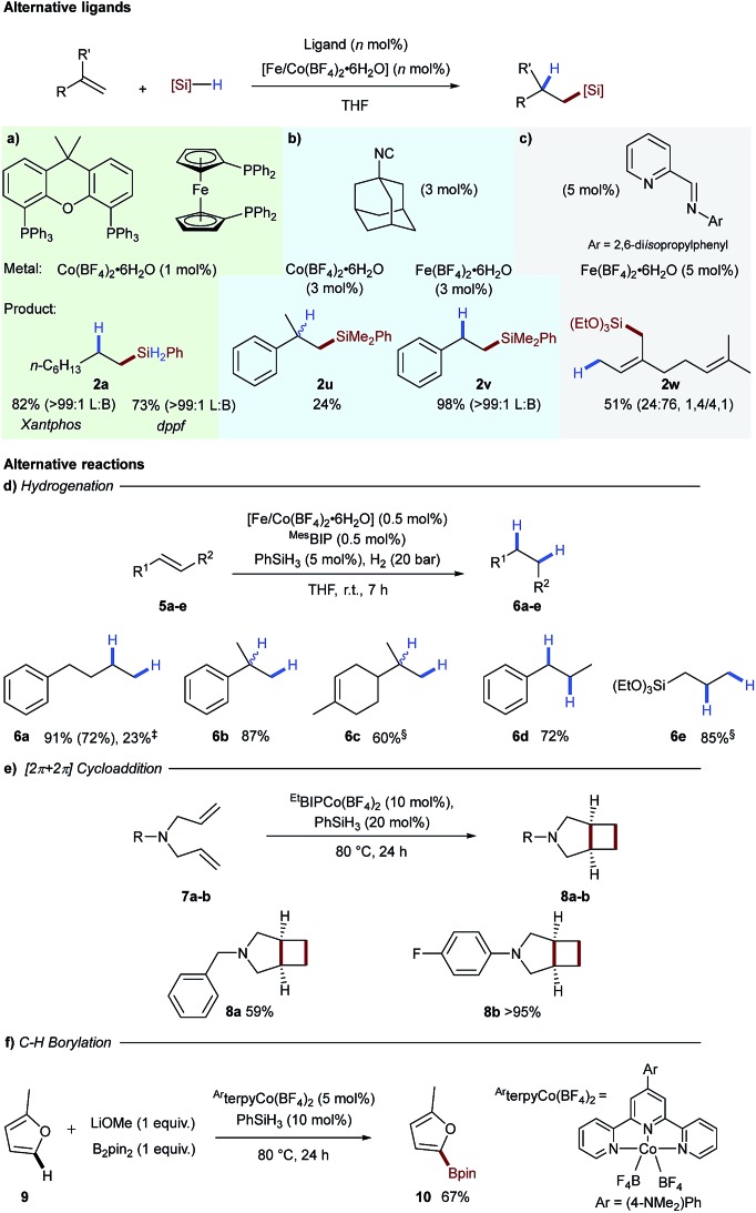 Scheme 3