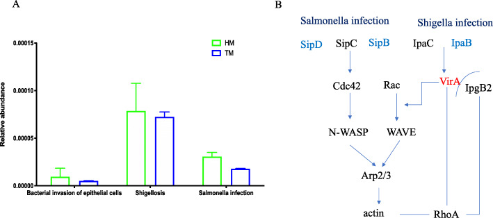 Fig. 11