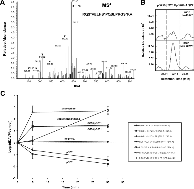 FIGURE 3.