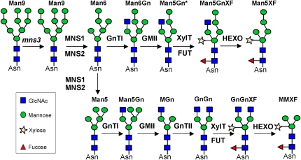 Figure 11.