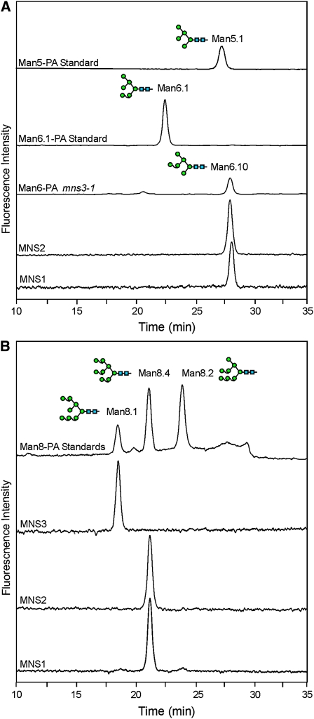 Figure 5.