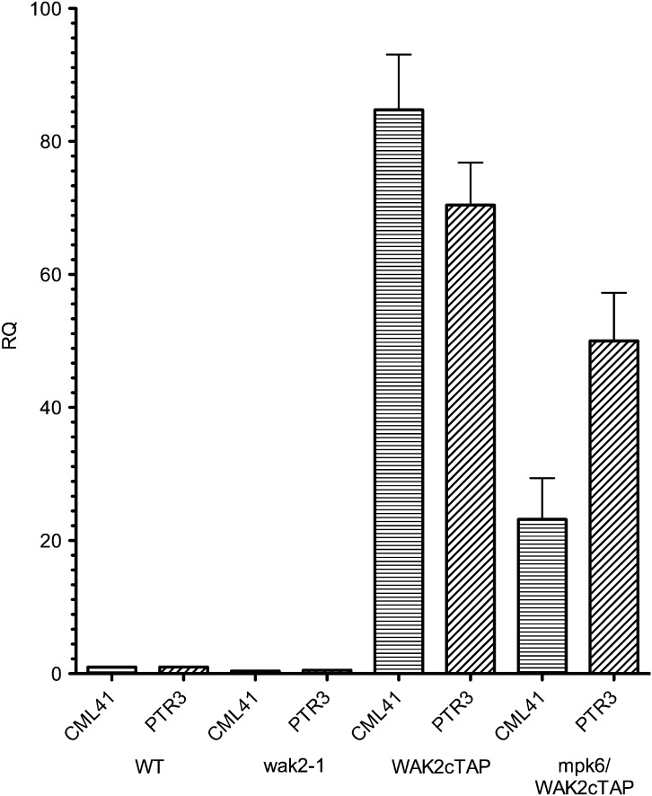 Figure 6.