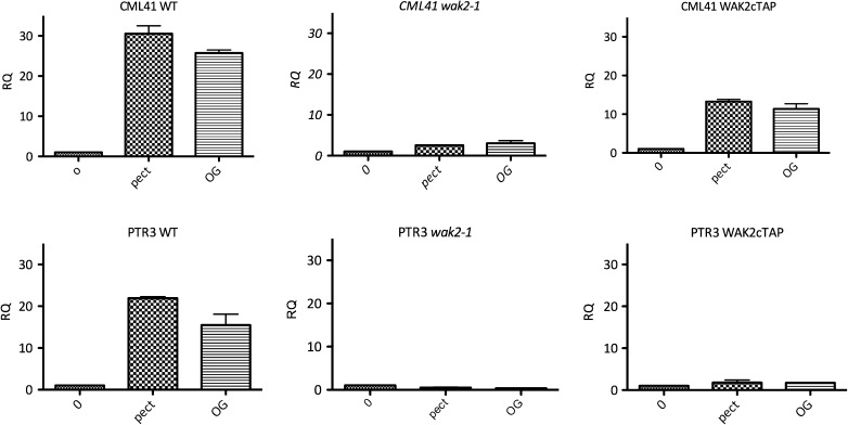 Figure 9.