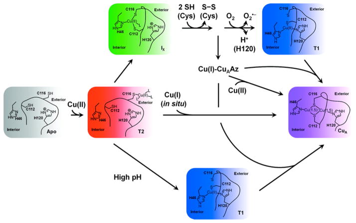 Figure 14