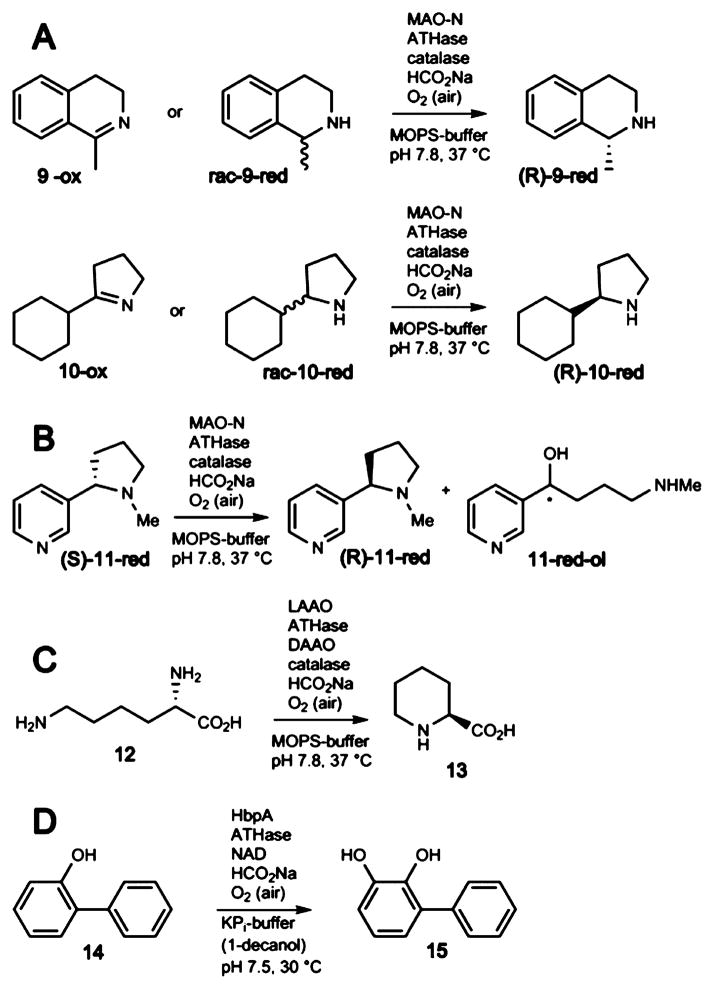 Scheme 7