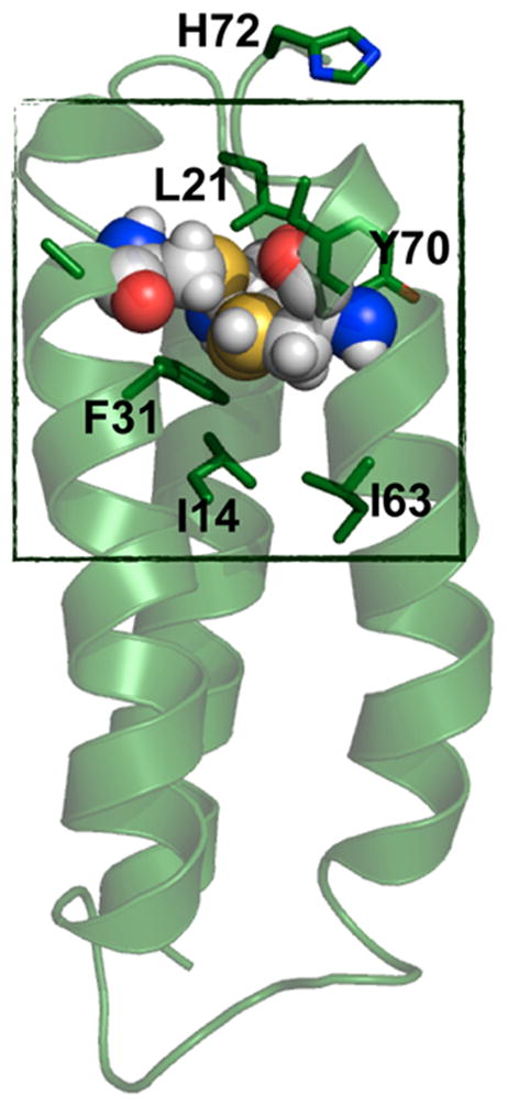 Figure 31