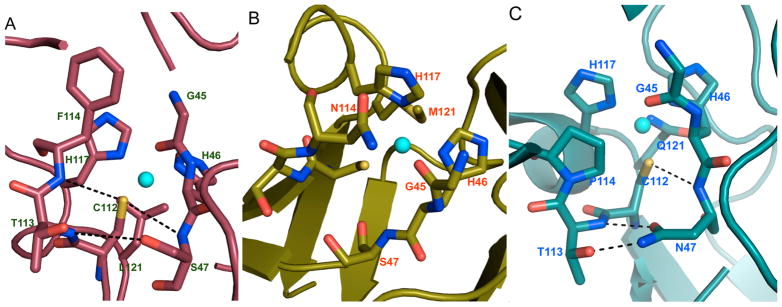 Figure 10