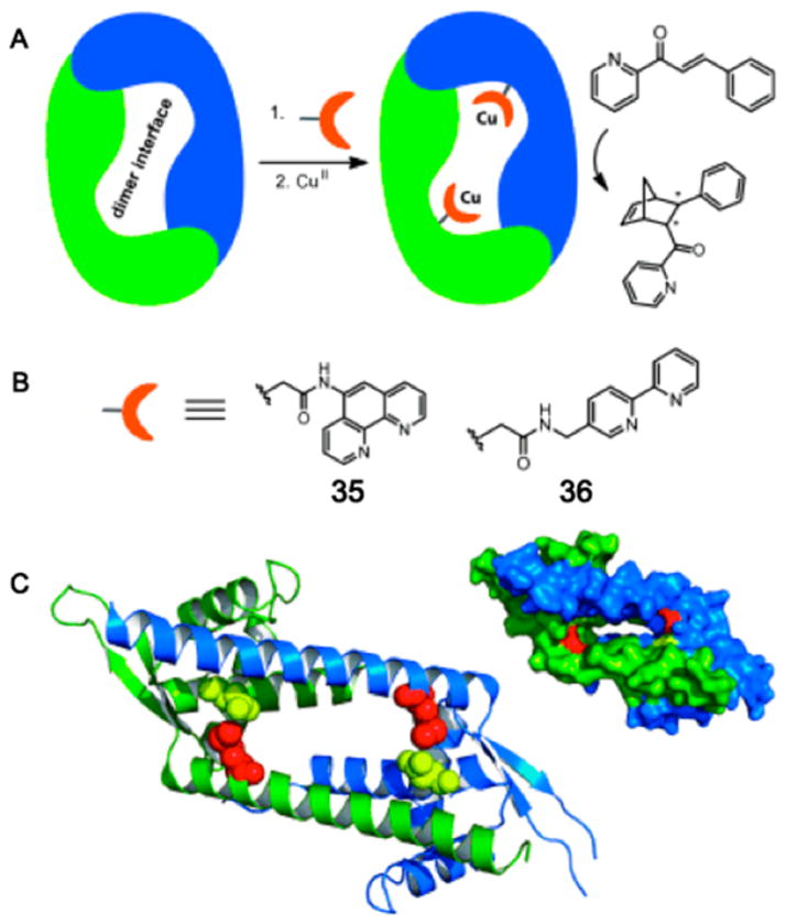 Figure 25