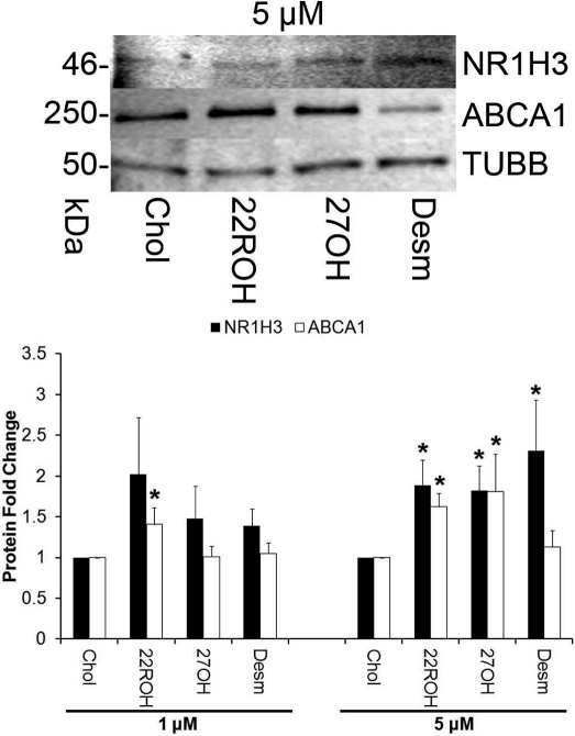 FIG. 3.