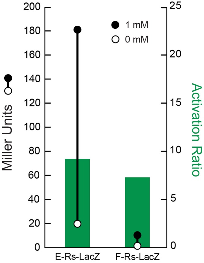 FIG 1